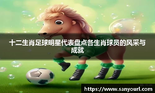 十二生肖足球明星代表盘点各生肖球员的风采与成就